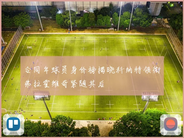 合同年球员身价榜揭晓科纳特领衔弗拉霍维奇紧随其后