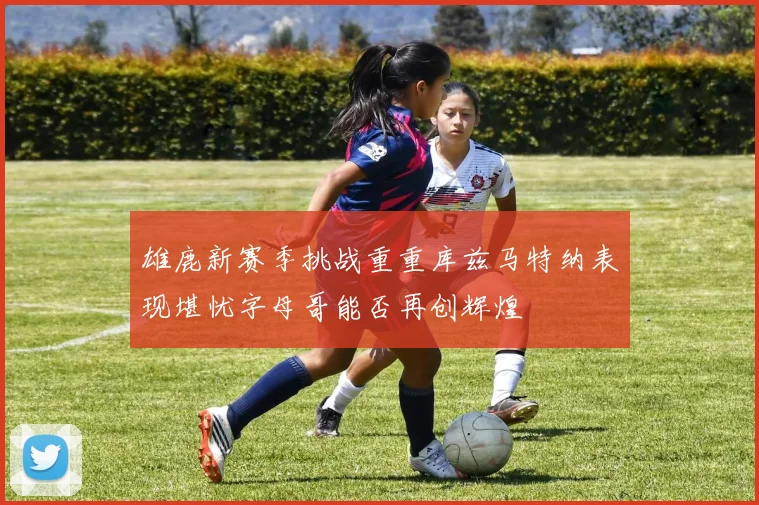 雄鹿新赛季挑战重重库兹马特纳表现堪忧字母哥能否再创辉煌